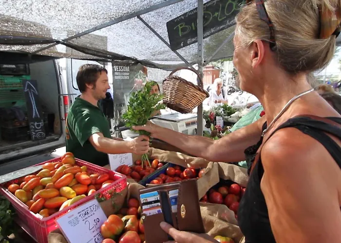 Basic Comfort Miami 15º 0114 Apartment